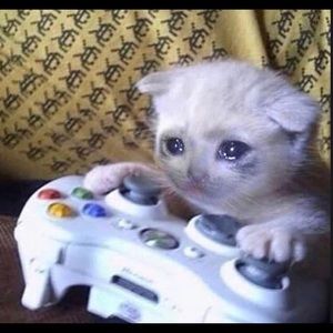 Meet your Posher, Young